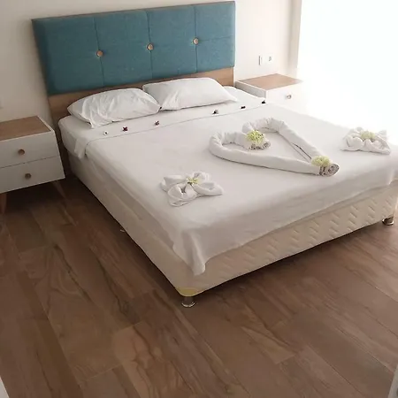 فيلة Premium
